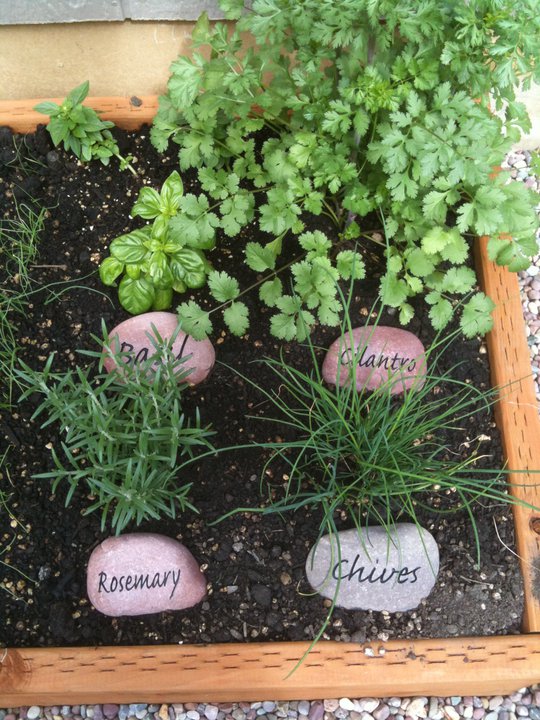 vegetable marker garden stones